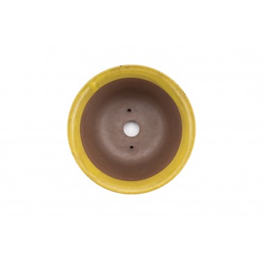 Maceta Bonsái Shoseki 22422