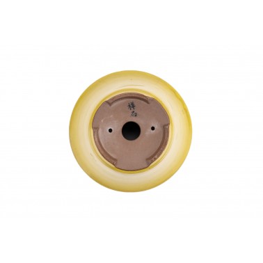 Maceta Bonsái Shoseki 22422