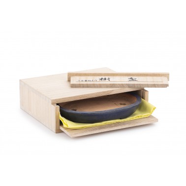 Maceta Bonsái Tofukuyi 22326