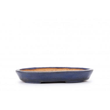 Maceta Bonsái Tofukuyi 22326