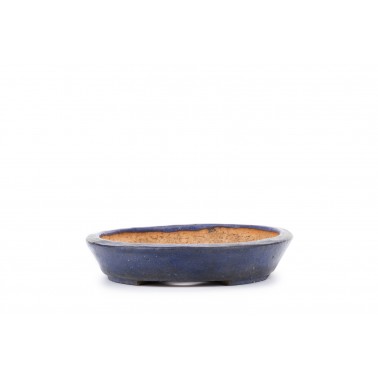 Maceta Bonsái Tofukuyi 22326