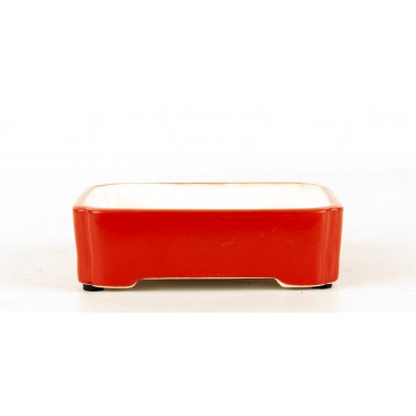 Maceta Bonsái Yixing SCF-0009