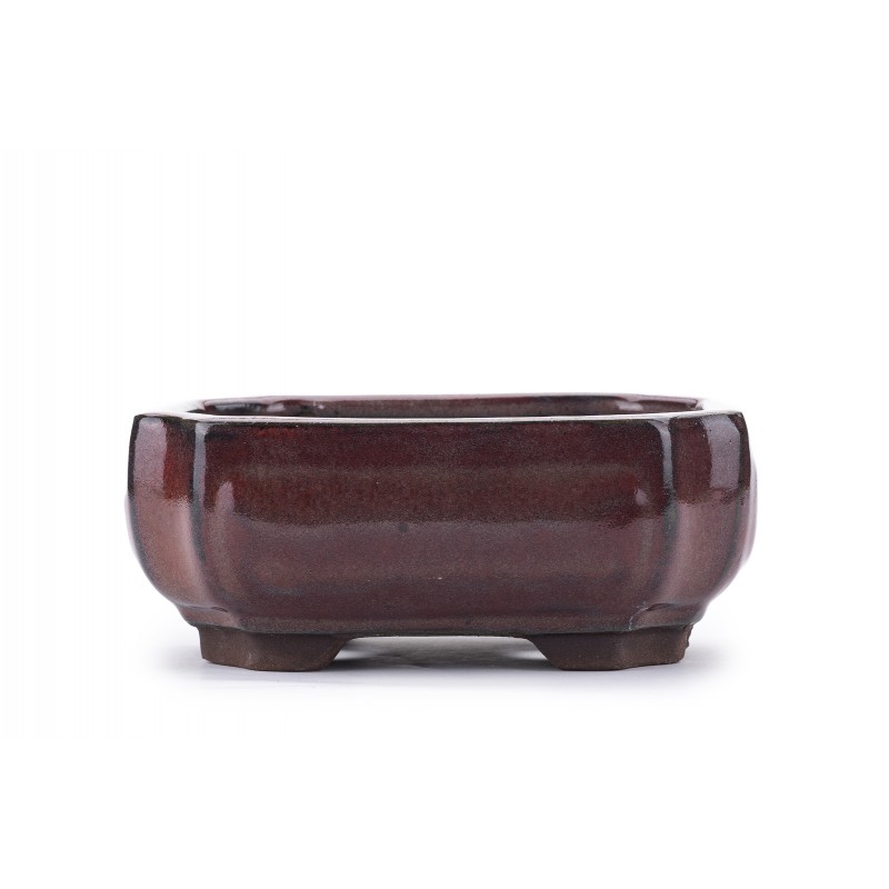 Maceta Bonsái Yixing A015-RE