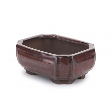 Maceta Bonsái Yixing A015-RE