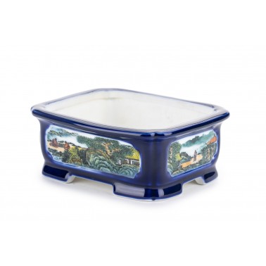 Maceta Bonsái Autor Desconocido 23028