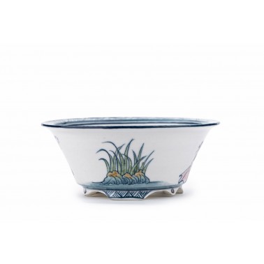 Maceta Bonsái Shoseki 23023