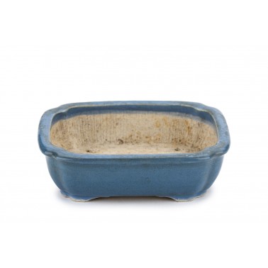 Maceta Bonsái Autor Desconocido 23062