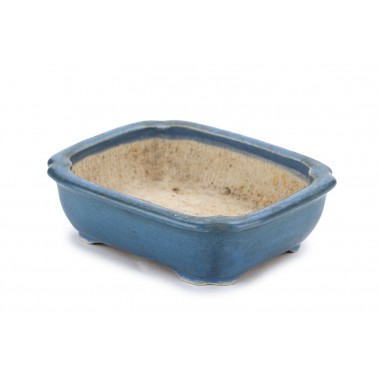 Maceta Bonsái Autor Desconocido 23062