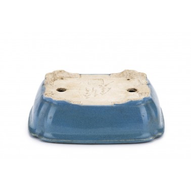 Maceta Bonsái Autor Desconocido 23062