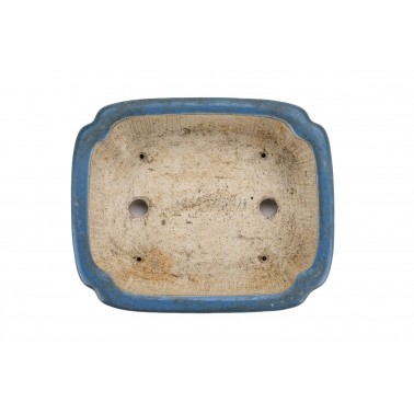 Maceta Bonsái Autor Desconocido 23062