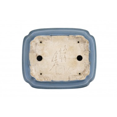 Maceta Bonsái Autor Desconocido 23062