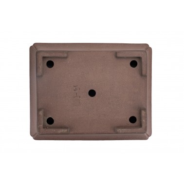 Maceta Bonsái Syouzan 23074