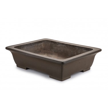 Maceta Bonsái Yamaaki 23073