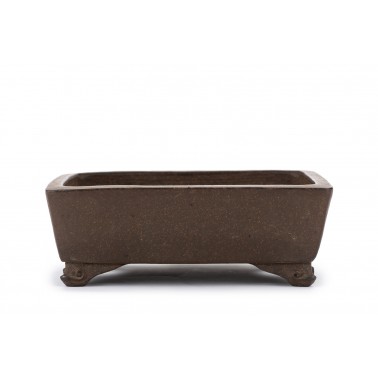 Maceta Bonsái Gyozan 23069