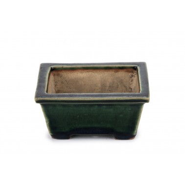 Maceta Bonsái Autor Desconocido 23066