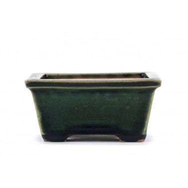 Maceta Bonsái Autor Desconocido 23066