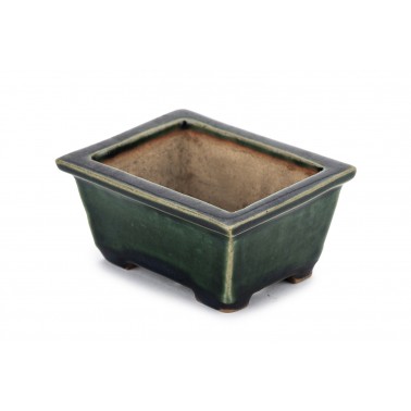 Maceta Bonsái Autor Desconocido 23066