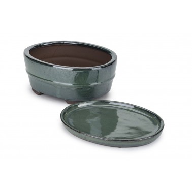 Maceta Bonsái Yixing CON Plato GLA-159F