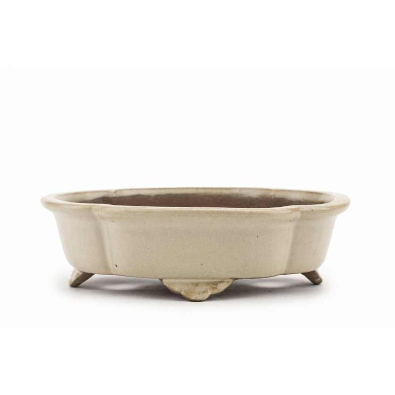 Maceta Bonsái Shibakatsu 23104