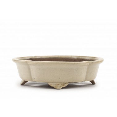 Maceta Bonsái Shibakatsu 23104