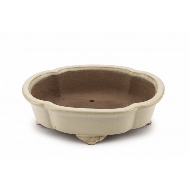 Maceta Bonsái Shibakatsu 23104