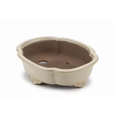 Maceta Bonsái Shibakatsu 23104