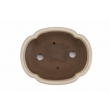 Maceta Bonsái Shibakatsu 23104