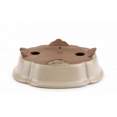 Maceta Bonsái Shibakatsu 23104