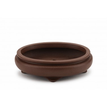 Maceta Bonsái Shibakatsu 23108