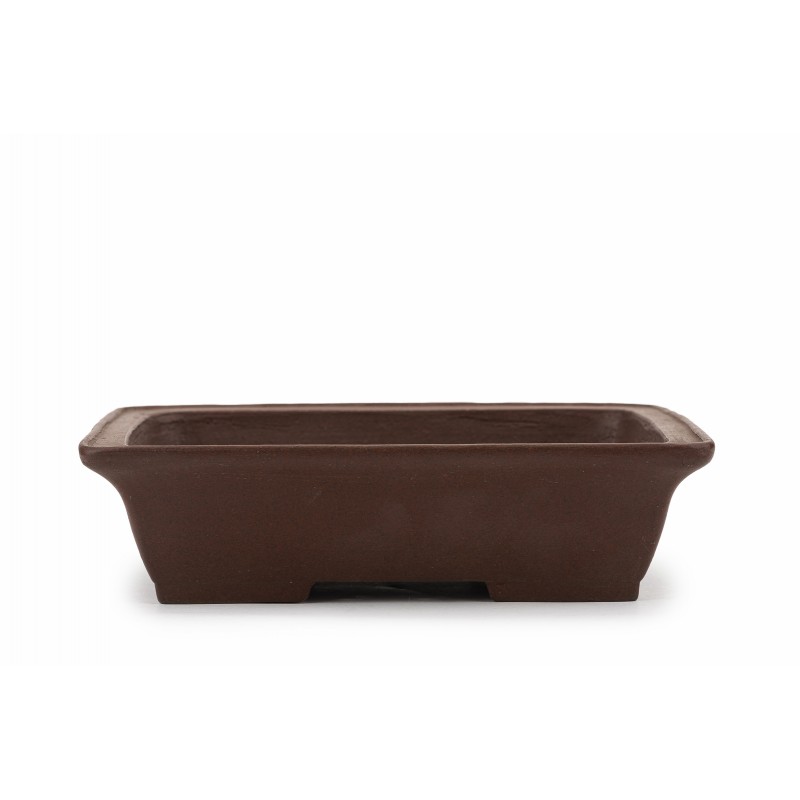 Maceta Bonsái Shibakatsu 23111