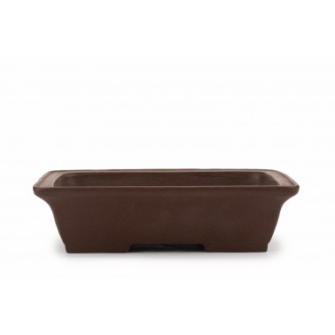 Maceta Bonsái Shibakatsu 23111