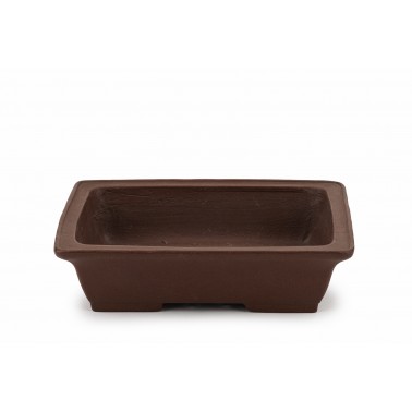 Maceta Bonsái Shibakatsu 23111