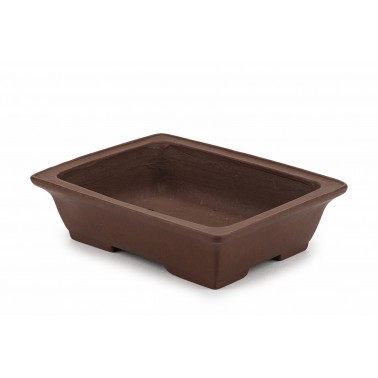 Maceta Bonsái Shibakatsu 23111