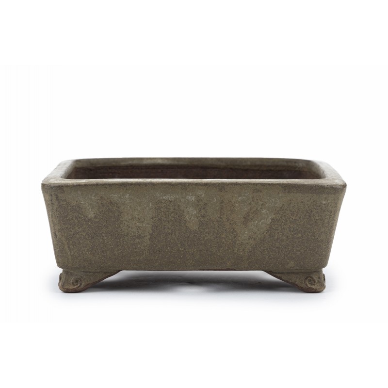 Maceta Bonsái Gyozan 23113