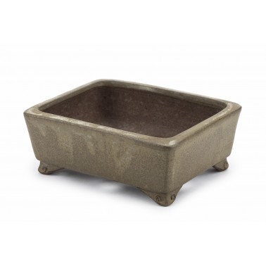 Maceta Bonsái Gyozan 23113