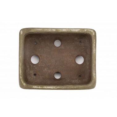 Maceta Bonsái Gyozan 23113