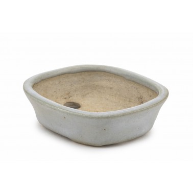 Maceta Bonsái Autor Desconocido 23122