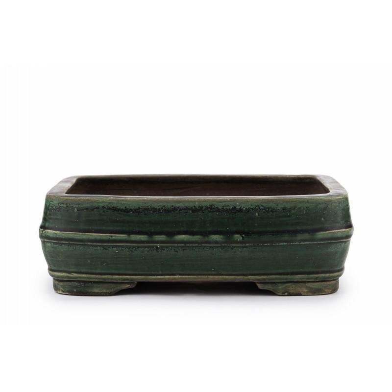 Maceta Bonsái Harumatsu Ryoko Misai 23143