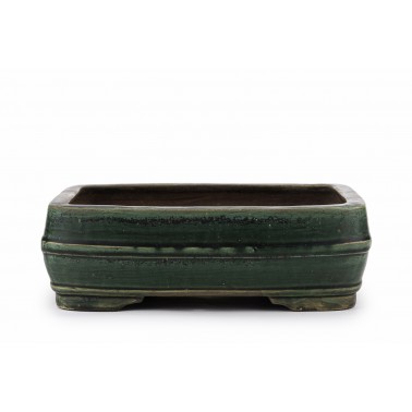 Maceta Bonsái Harumatsu Ryoko Misai 23143