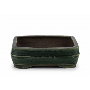 Maceta Bonsái Harumatsu Ryoko Misai 23143