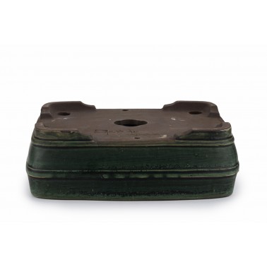 Maceta Bonsái Harumatsu Ryoko Misai 23143