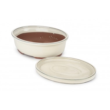 Maceta Bonsái Yixing CON Plato GLA-359A