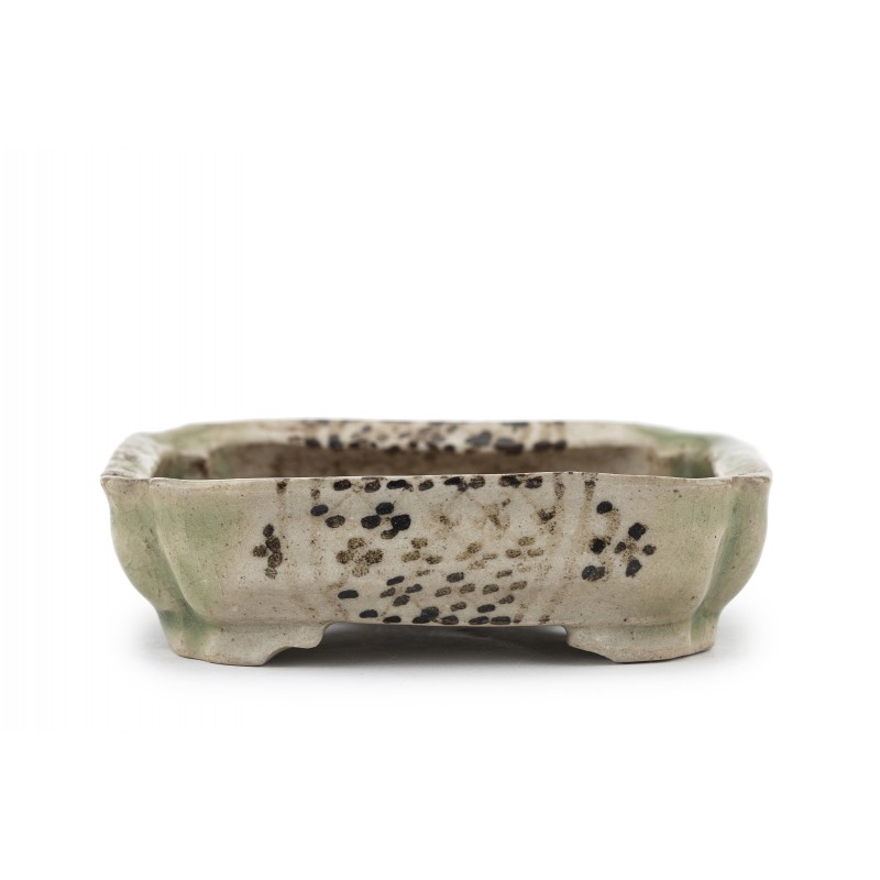 Maceta Bonsái Autor Desconocido 23147