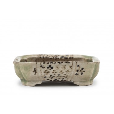 Maceta Bonsái Autor Desconocido 23147