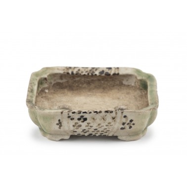 Maceta Bonsái Autor Desconocido 23147