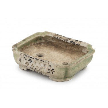 Maceta Bonsái Autor Desconocido 23147