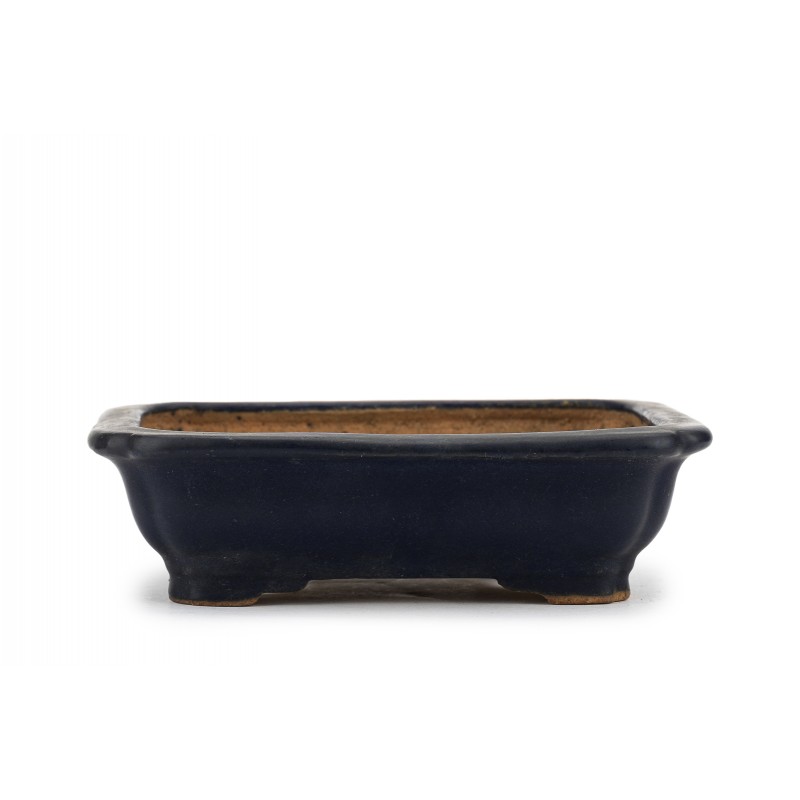 Maceta Bonsái Hattori 23157