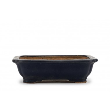 Maceta Bonsái Hattori 23157