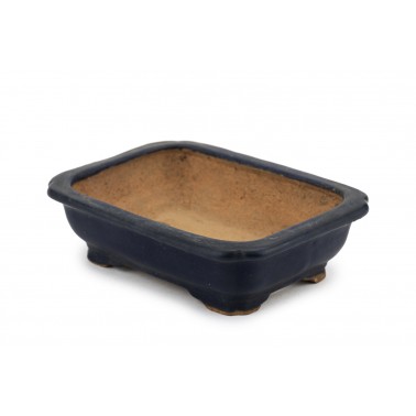 Maceta Bonsái Hattori 23157