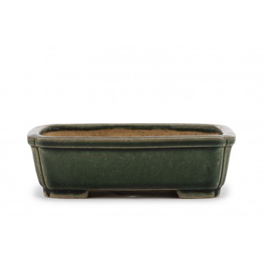 Maceta Bonsái Shibakatsu 23158